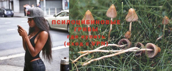 герыч Алексин