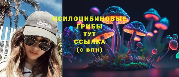 спиды Алзамай