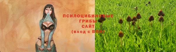 спиды Алзамай